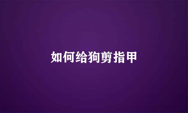 如何给狗剪指甲