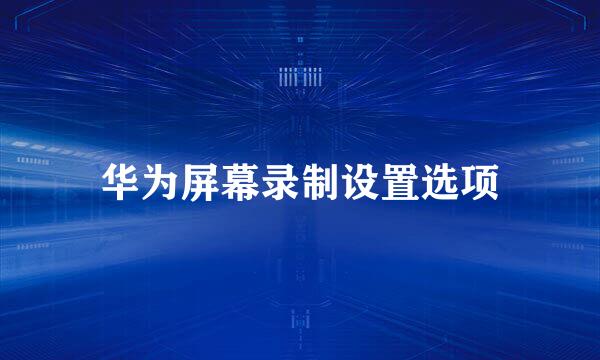 华为屏幕录制设置选项