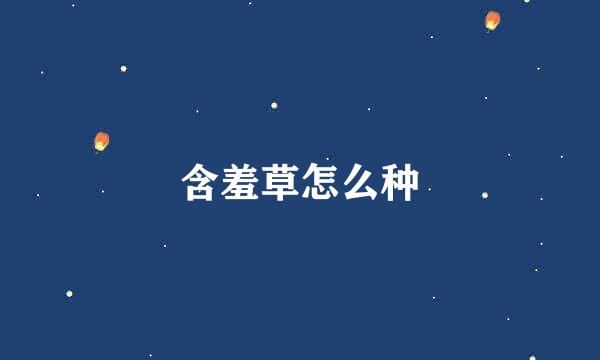 含羞草怎么种