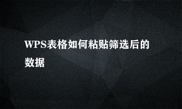WPS表格如何粘贴筛选后的数据