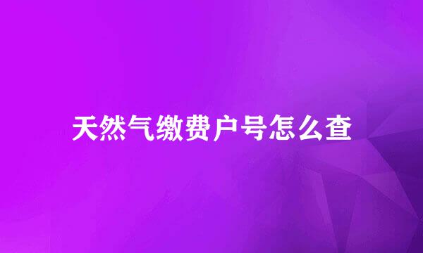 天然气缴费户号怎么查