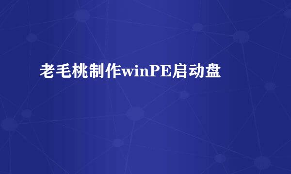 老毛桃制作winPE启动盘