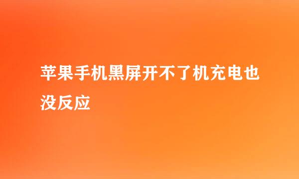 苹果手机黑屏开不了机充电也没反应
