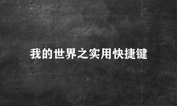 我的世界之实用快捷键