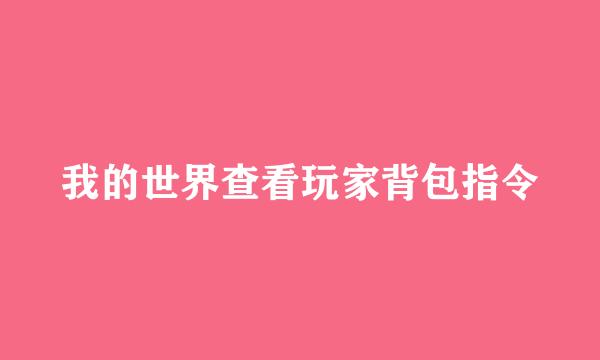 我的世界查看玩家背包指令