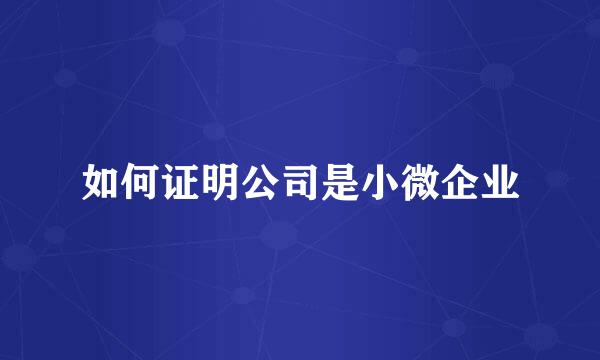 如何证明公司是小微企业