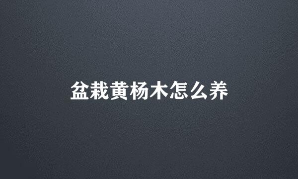 盆栽黄杨木怎么养