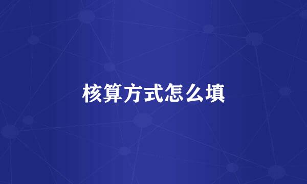 核算方式怎么填