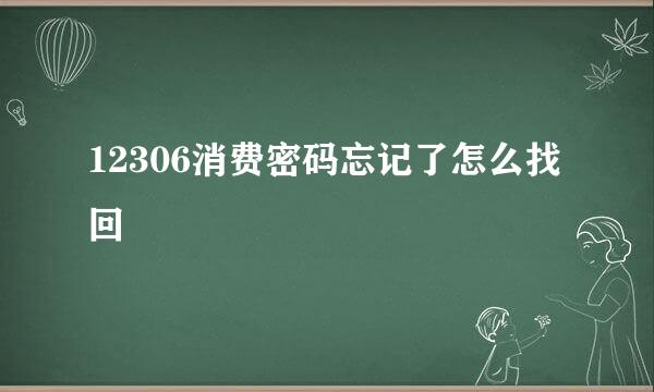 12306消费密码忘记了怎么找回