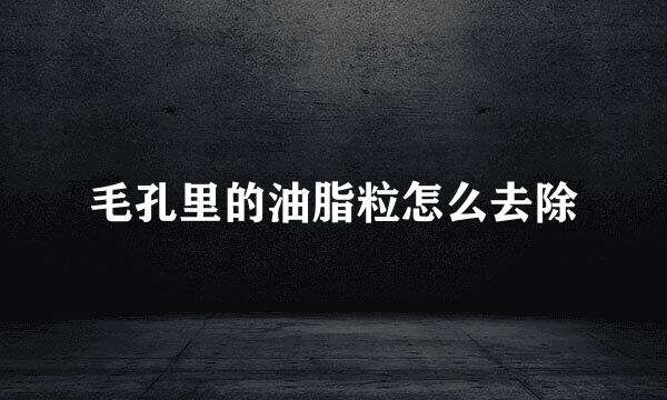 毛孔里的油脂粒怎么去除