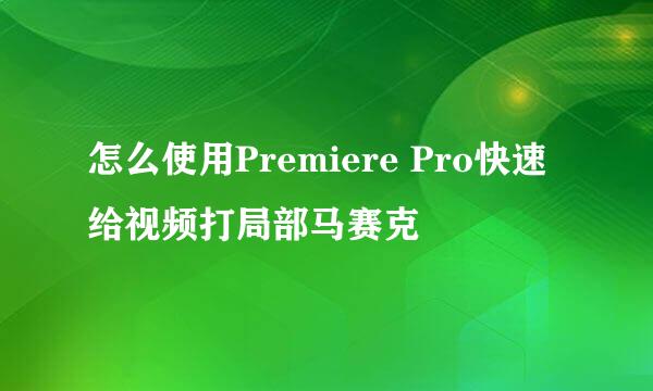 怎么使用Premiere Pro快速给视频打局部马赛克