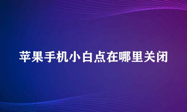 苹果手机小白点在哪里关闭