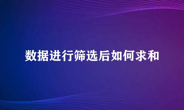 数据进行筛选后如何求和