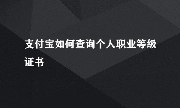 支付宝如何查询个人职业等级证书