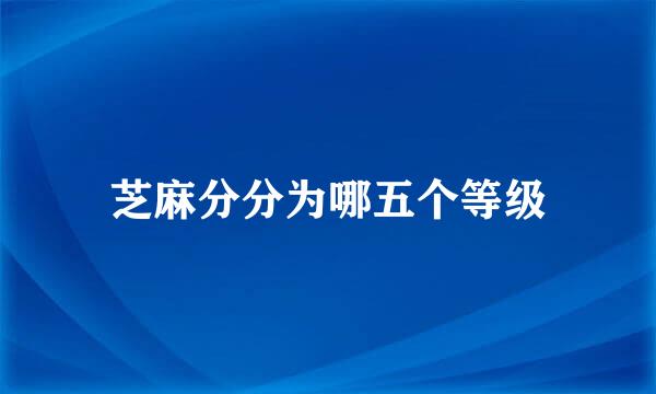 芝麻分分为哪五个等级