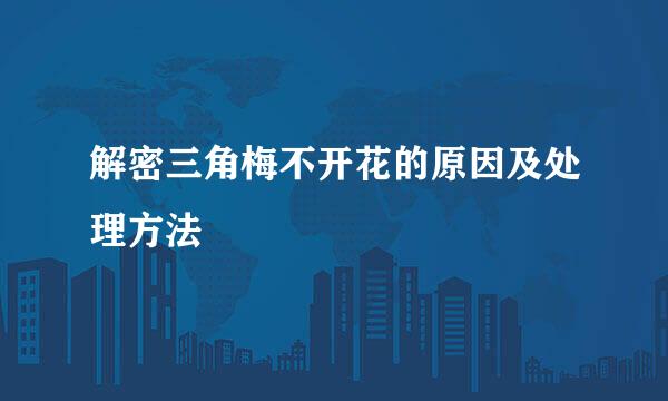 解密三角梅不开花的原因及处理方法