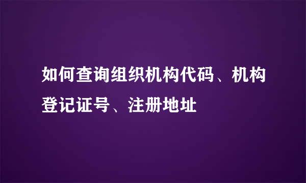 如何查询组织机构代码、机构登记证号、注册地址