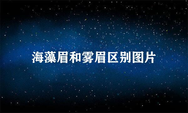 海藻眉和雾眉区别图片