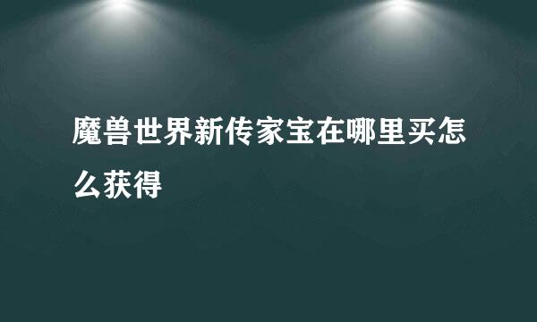 魔兽世界新传家宝在哪里买怎么获得