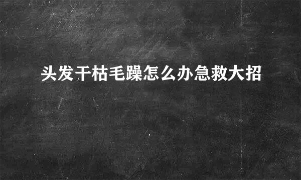头发干枯毛躁怎么办急救大招