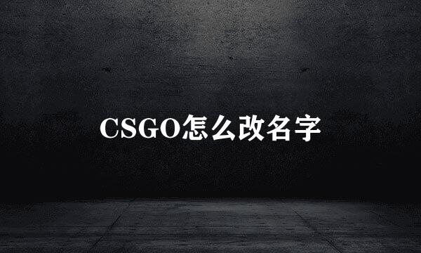 CSGO怎么改名字