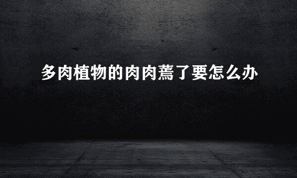 多肉植物的肉肉蔫了要怎么办
