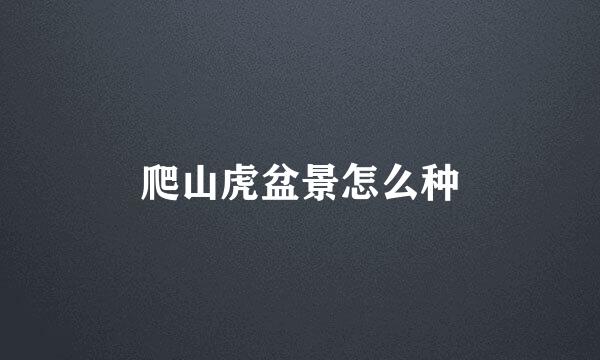 爬山虎盆景怎么种