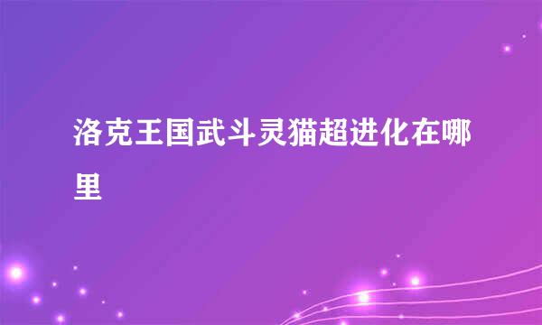 洛克王国武斗灵猫超进化在哪里