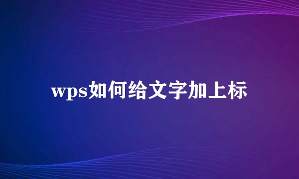 wps如何给文字加上标