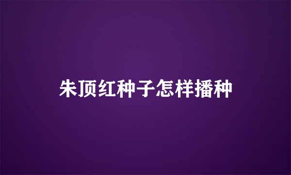 朱顶红种子怎样播种