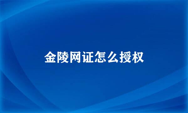 金陵网证怎么授权