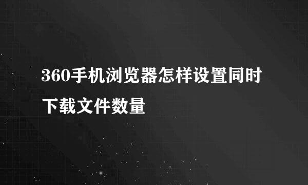 360手机浏览器怎样设置同时下载文件数量