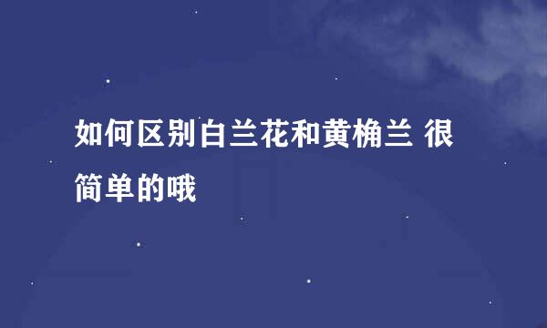 如何区别白兰花和黄桷兰 很简单的哦