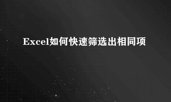 Excel如何快速筛选出相同项