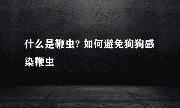 什么是鞭虫? 如何避免狗狗感染鞭虫