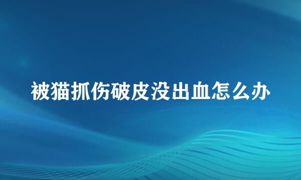 被猫抓伤破皮没出血怎么办