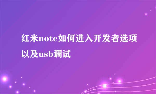 红米note如何进入开发者选项以及usb调试