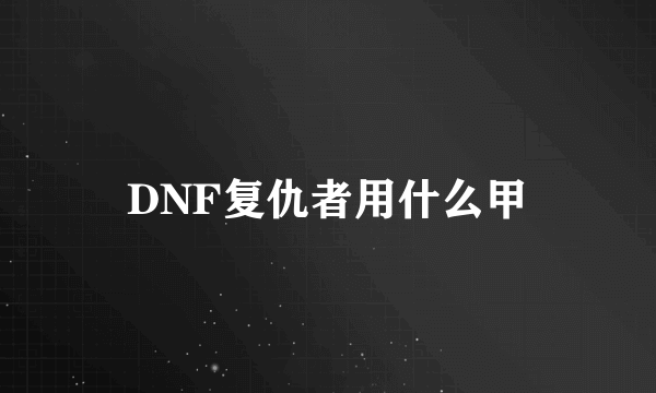 DNF复仇者用什么甲