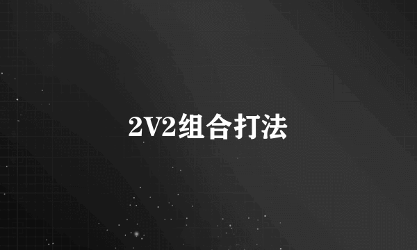 2V2组合打法