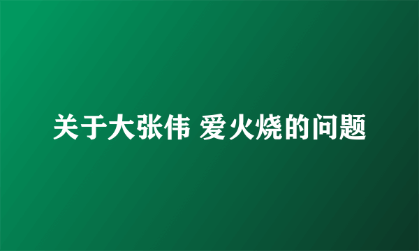 关于大张伟 爱火烧的问题
