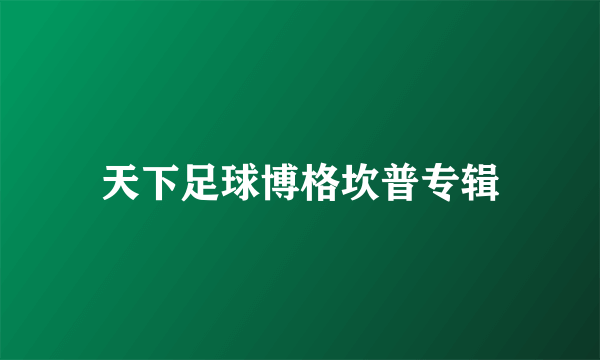 天下足球博格坎普专辑