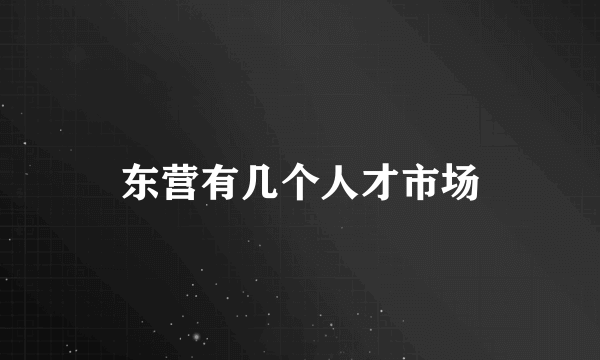 东营有几个人才市场