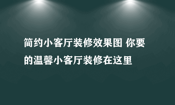 简约小客厅装修效果图 你要的温馨小客厅装修在这里
