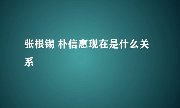 张根锡 朴信惠现在是什么关系