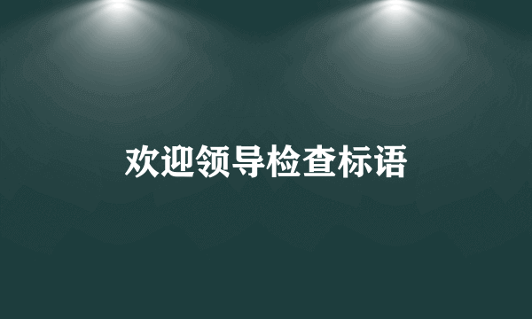 欢迎领导检查标语