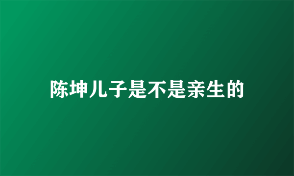 陈坤儿子是不是亲生的