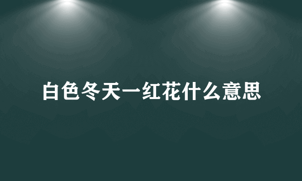 白色冬天一红花什么意思