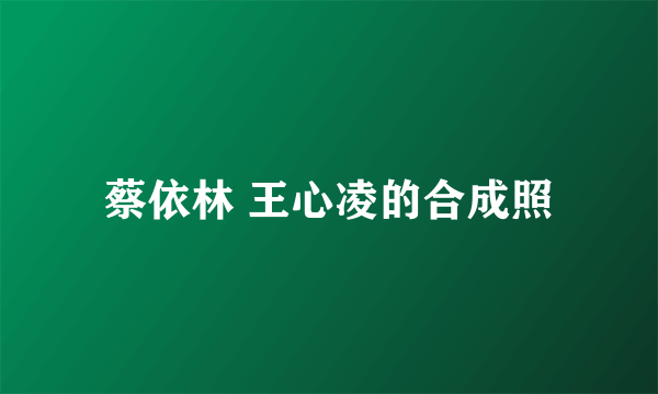 蔡依林 王心凌的合成照