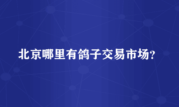 北京哪里有鸽子交易市场？