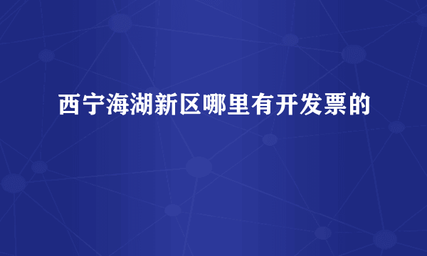 西宁海湖新区哪里有开发票的
